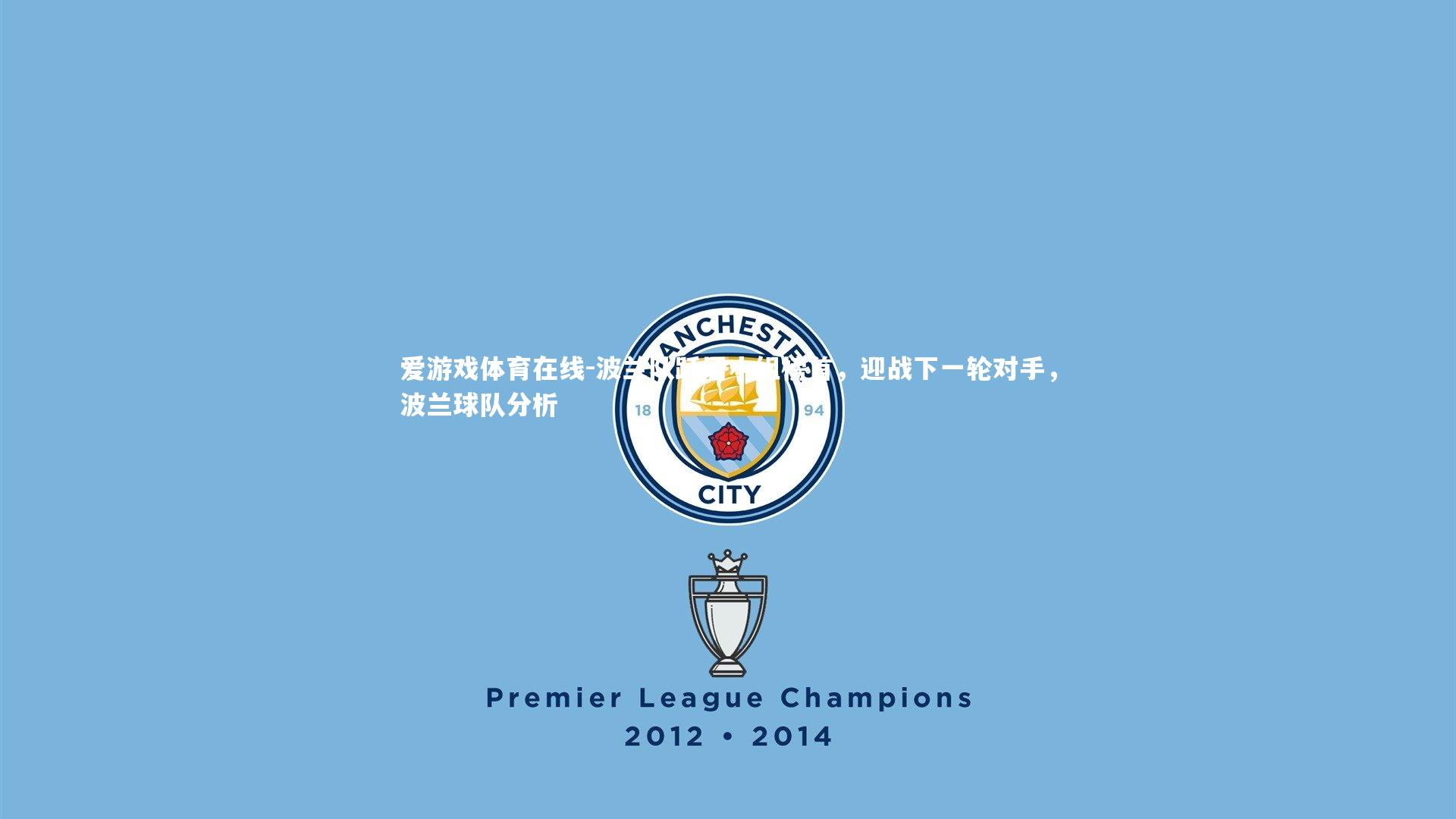 波兰队跃居小组榜首,迎战下一轮对手,波兰球队分析