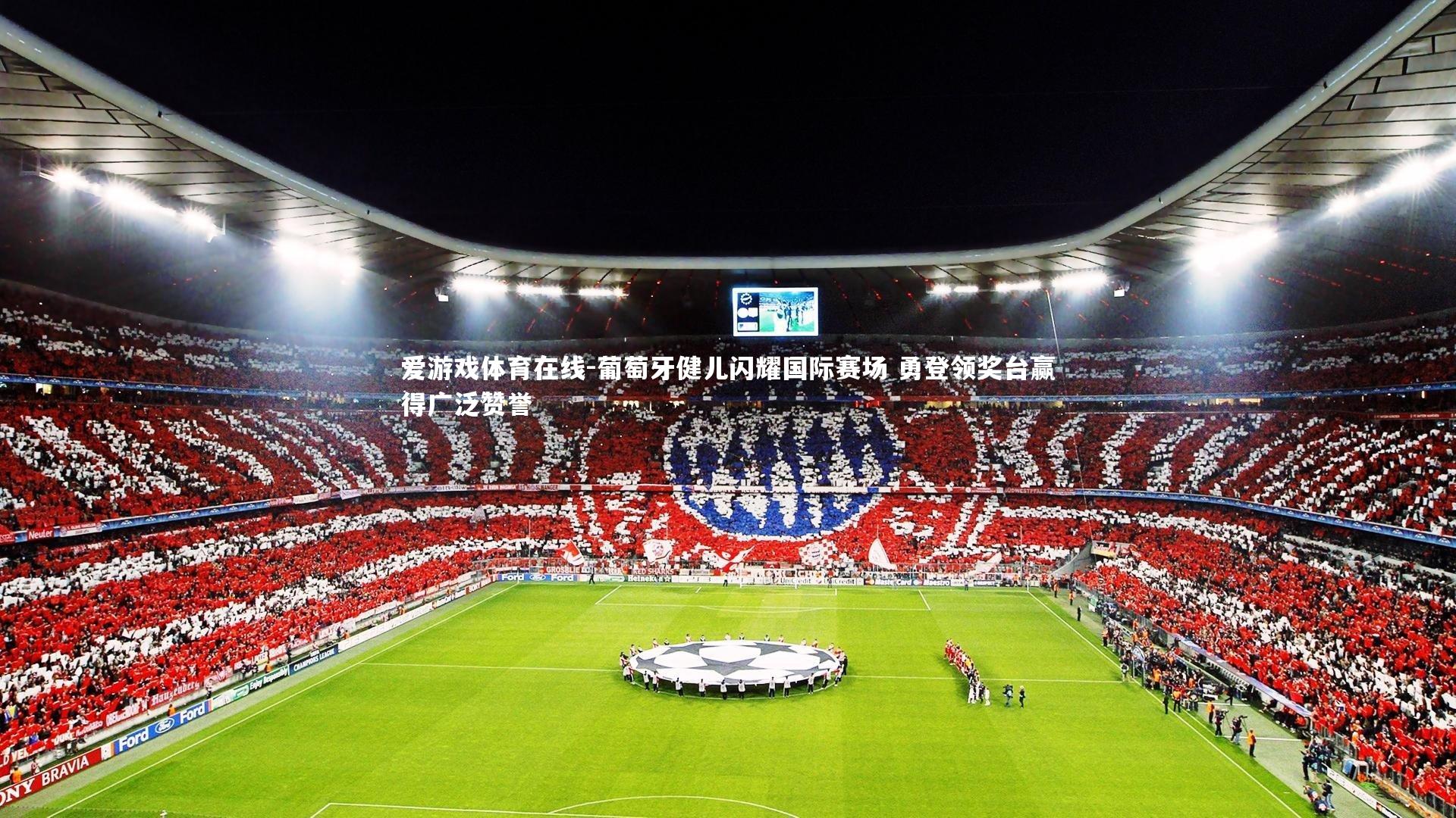 爱游戏体育在线-葡萄牙健儿闪耀国际赛场 勇登领奖台赢得广泛赞誉