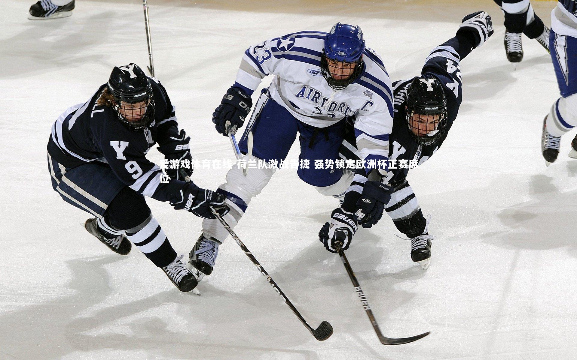 荷兰队激战告捷 强势锁定欧洲杯正赛席位